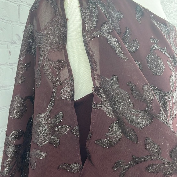 Elegant Burgundy Dress with Sheer Overlay - Picture 3 of 8